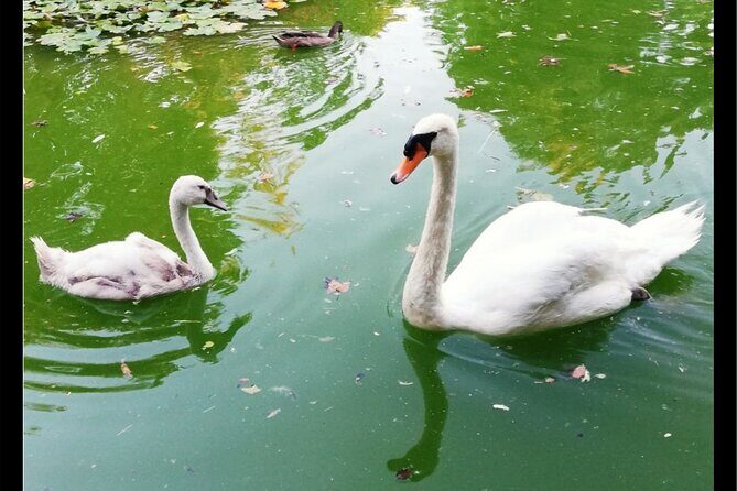 Alcazar, Cathedral, Plaza De España And Maria Luisa Park Private Tour - Who Will Love This Tour?