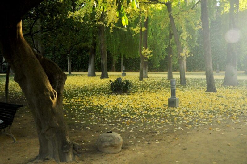 Alcázar of Seville Skip-the-Line Tickets and Guided Tour - Booking and Cost-Effectiveness