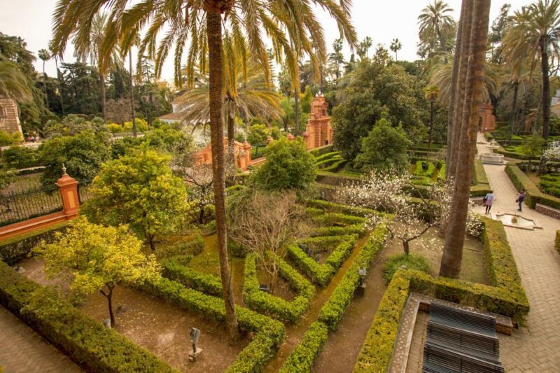 Alcázar of Seville Skip-the-Line Tickets and Guided Tour - The Experience: What Travelers Are Saying