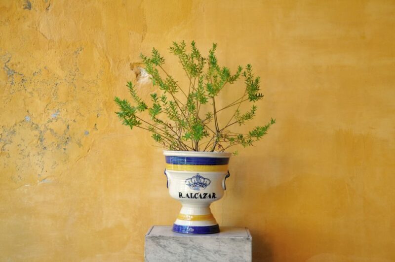 Alcázar of Seville Skip-the-Line Tickets and Guided Tour - Final Thoughts