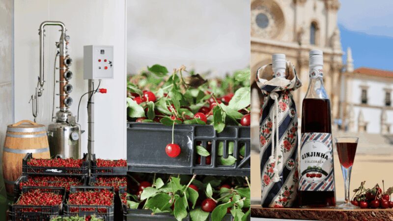 Alcobaça: Visit to the Lemos Figueiredo Winery and Distillery - Who Should Consider This Tour?