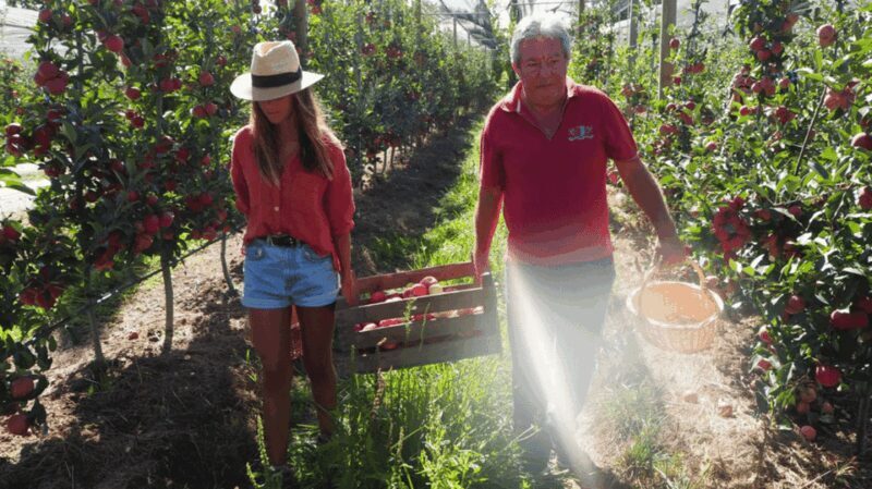 Alcobaça: Visit to the Lemos Figueiredo Winery and Distillery - Final Thoughts