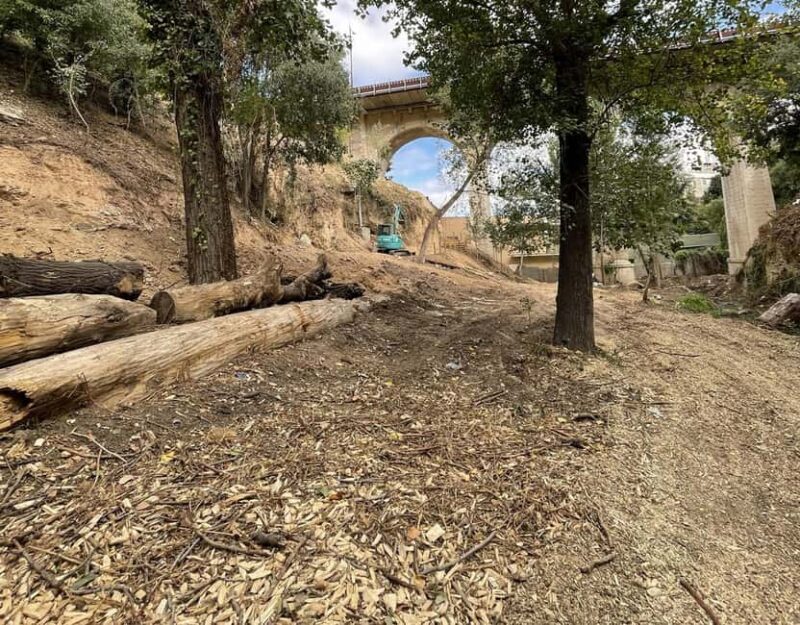 Alcoy: Canyoning in the heart of nature in the Soler ravine - Key Points