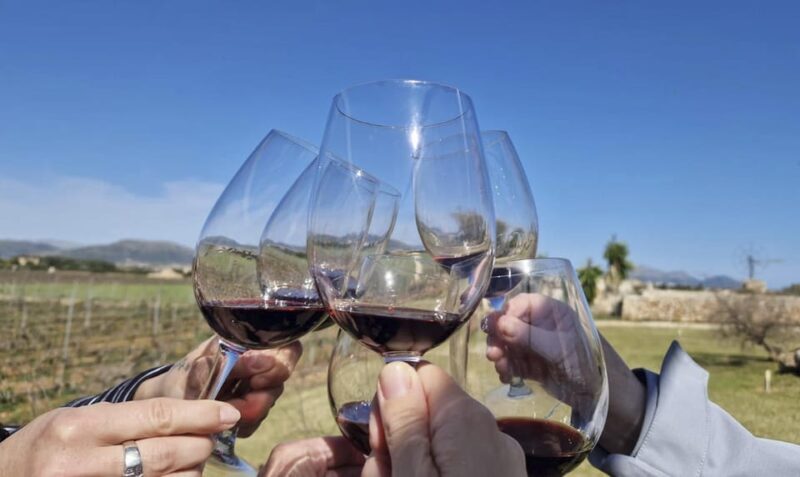 Alcúdia/Can Picafort: Guided Vineyard Visit and Wine Tasting - Alcúdia/Can Picafort: Guided Vineyard Visit and Wine Tasting — A Friendly Look
