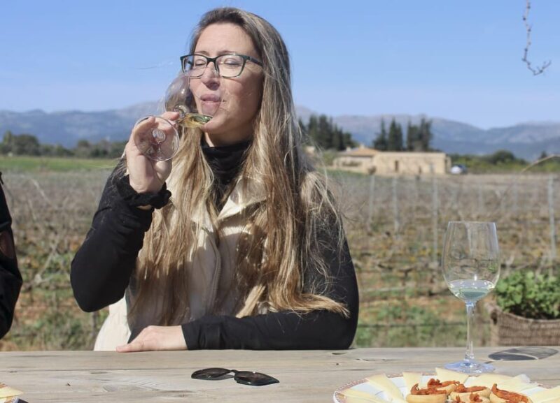 Alcúdia/Can Picafort: Guided Vineyard Visit and Wine Tasting - Is It Worth the Price?