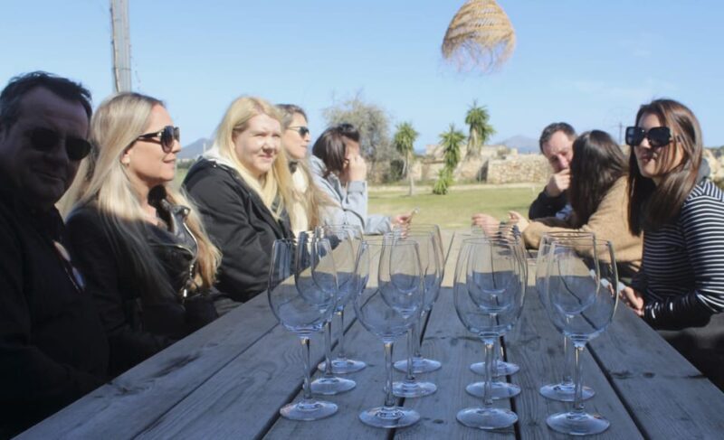 Alcúdia/Can Picafort: Guided Vineyard Visit and Wine Tasting - Who Should Consider This Tour?