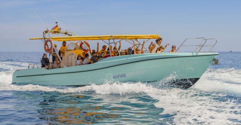 Alcudia: Coll Baix Beach & Sea Caves Cruise with Snorkeling - What You Can Expect from This Mallorca Boat Tour