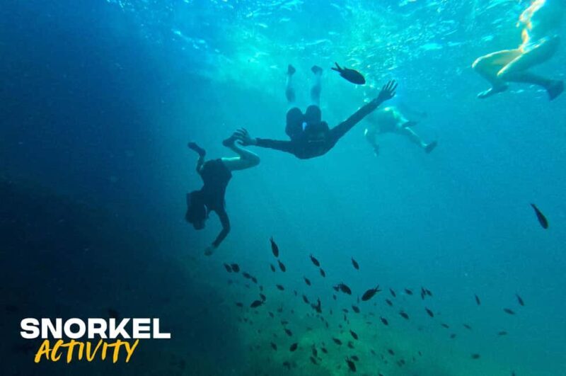 Alcudia: Kayaking Tour with Snorkel & Sea Cave Swim - The Guides: The Heart of the Experience