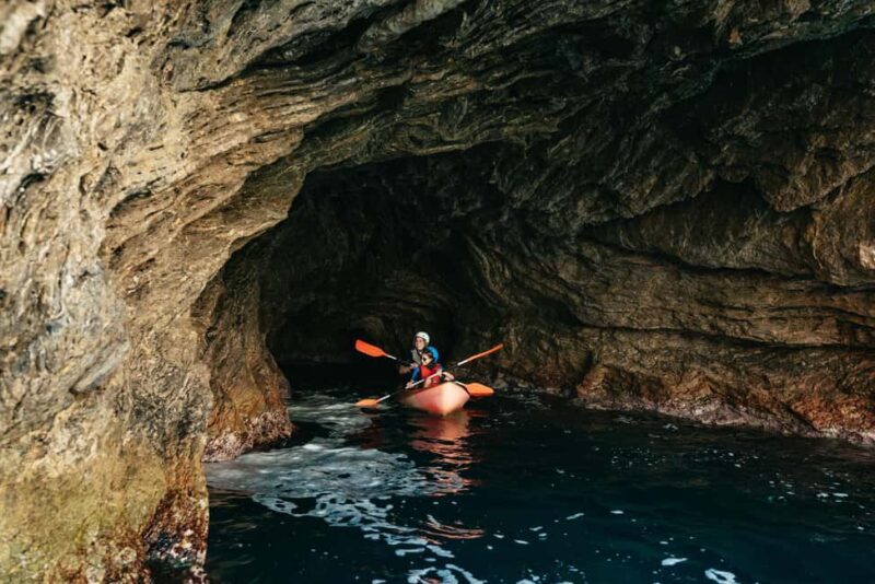 Alcudia: Kayaking Tour with Snorkel & Sea Cave Swim - The Value for Money