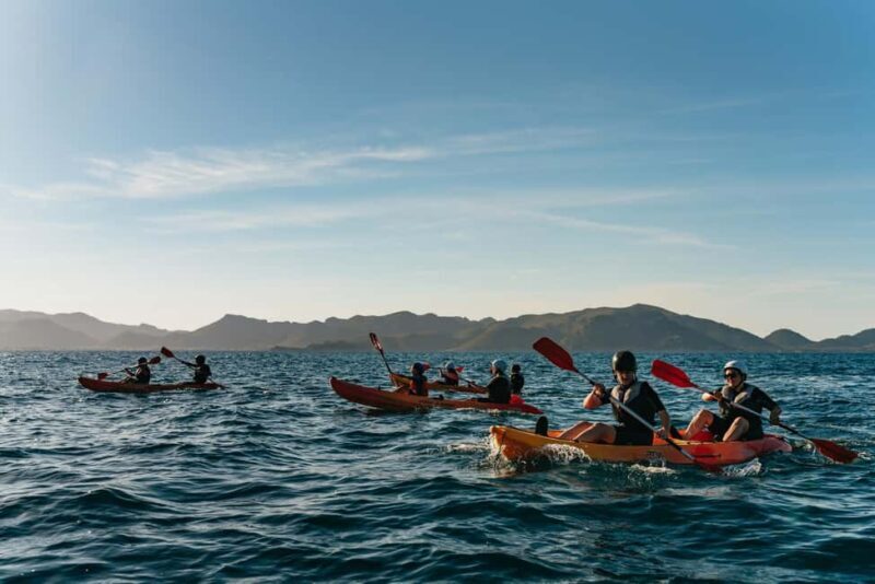 Alcudia: Kayaking Tour with Snorkel & Sea Cave Swim - The Downsides and Considerations
