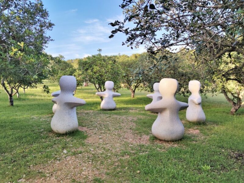 Alcudia: Museum Sa Bassa Blanca Entry Ticket - The Practicalities