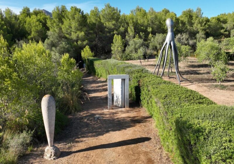 Alcudia: Museum Sa Bassa Blanca Entry Ticket - Who Should Consider Visiting?