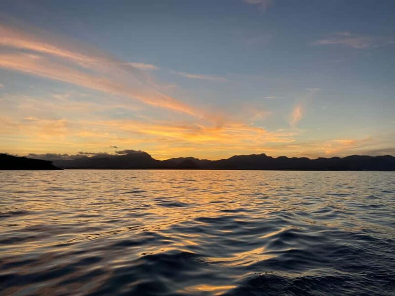 Alcudia, Private Tour: Scenic 2.5-Hour Boat Tour - Final Thoughts