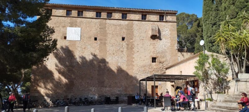 Alcudia: Quad Sightseeing Tour with Viewpoints - Final Thoughts: Is It Right for You?