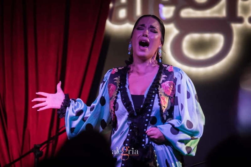 Alegria Flamenco in Malaga, with Transfer, Cocktail and Premium Location - Key Points