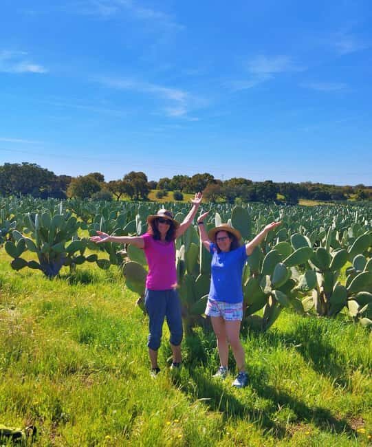 Alentejo: Prickly Pear Orchard and Cork Oak Forest Tour - Discovering the Heart of Alentejo: Prickly Pear and Cork Forest