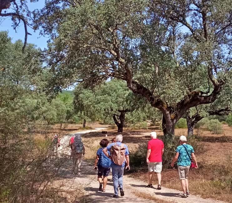 Alentejo: Prickly Pear Orchard and Cork Oak Forest Tour - Final Thoughts