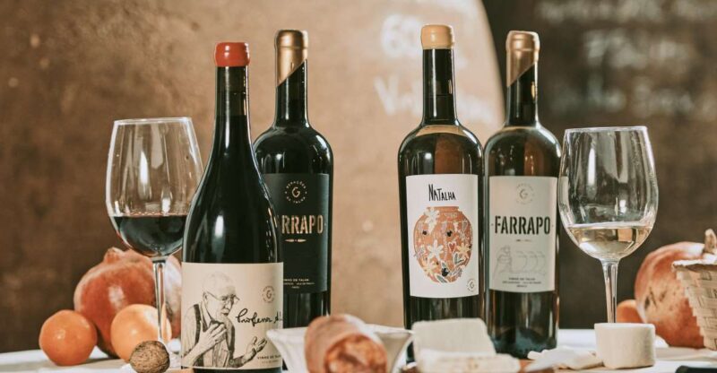 Alentejo: Visit and Taste the tradition of Talha Wines - What to Expect from the Tour