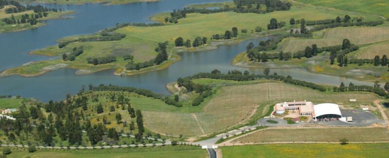 Alentejo Wine Tour from the Algarve - The Journey Begins: Convenient Pickup and Comfortable Transport