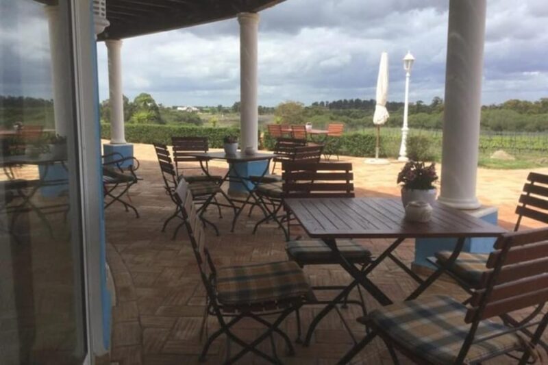 Alentejo Wine Tour from the Algarve - Second Winery: More Wine & Scenic Jeep Tour