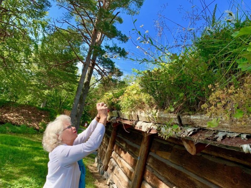 Alesund 4 hours Heritage Sightseeing Tour - Starting with the Scenic Drive and Art Nouveau Charm