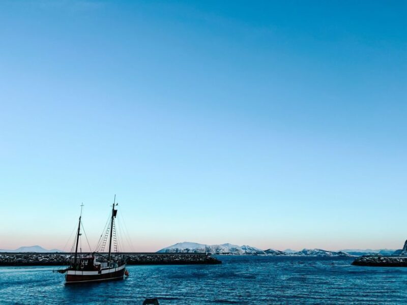 Ålesund: Ålesund and Surrounding Islands Audio Guide Tour - What You Can Expect on the Tour