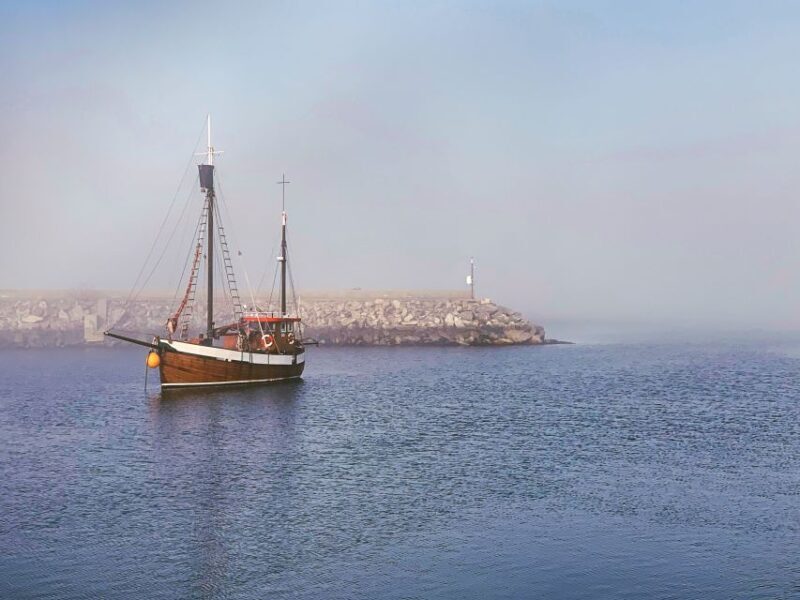 Alesund: Private Tour to the Viking Islands - The Experience from the Reviews
