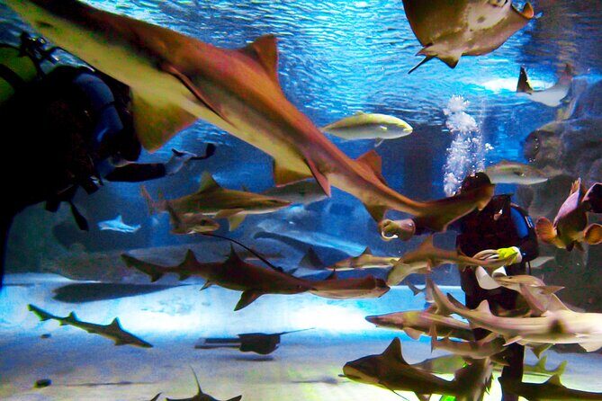 Alexander Waterfall and Antalya Aquarium Day Tour from Side - The Slight Downsides