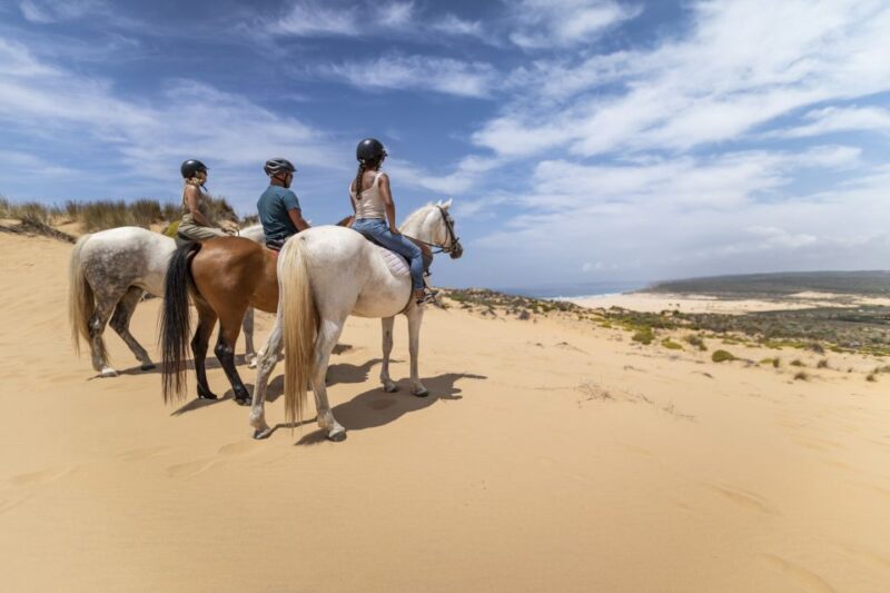 Algarve: 1-Hour Carrapateira Horseback Riding Tour - Key Points