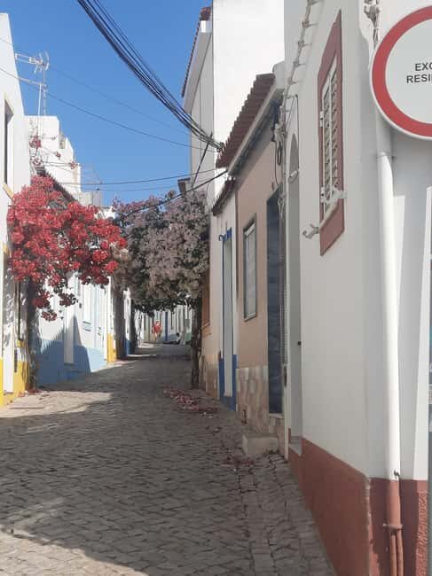 Algarve: 4x4 Safari Tour - from Coastal Wonders to Rural Treasures - Final Thoughts