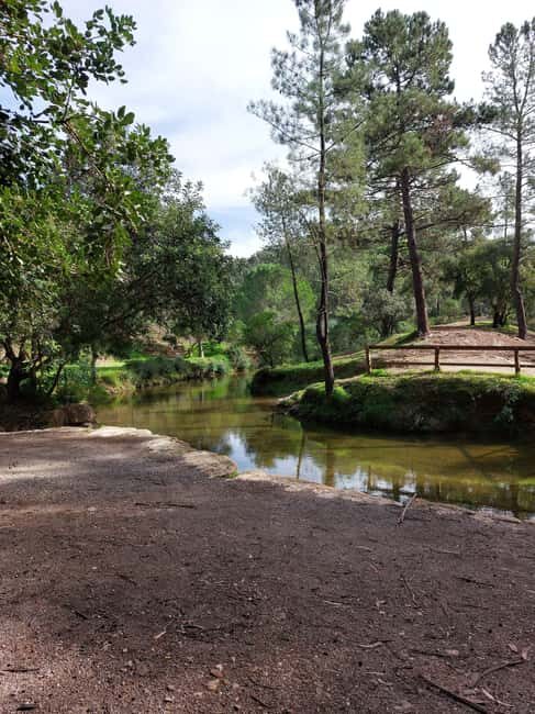Algarve: Cork Factory, Fonte Férrea Park, & Distillery Tour - Discovering the Hidden Algarve