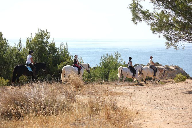 Algarve - Exclusive horseriding in Portimao (no experience required) - Cancellation and weather considerations