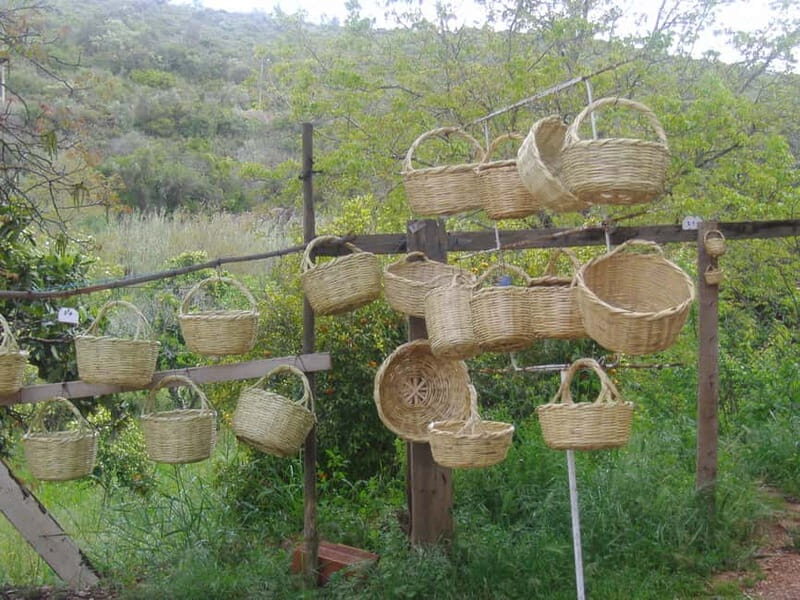 Algarve: Flavors and Traditions Tour - A Detailed Look at the In-Depth Experience