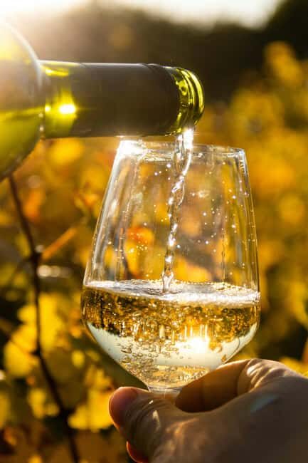 Algarve Golden Coast & Boutique Wine Estate Experience - Key Points