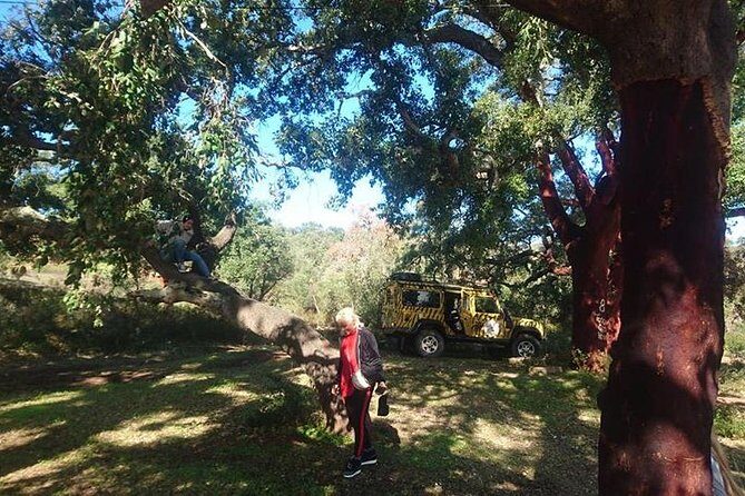 Algarve Half Day Jeep Safari (PRIVATE TOUR) - What to Expect from the Algarve Half Day Jeep Safari