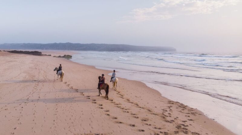 Algarve: Horse Riding Beach Tour at Sunset or Morning - What Makes This Horse Riding Tour Stand Out
