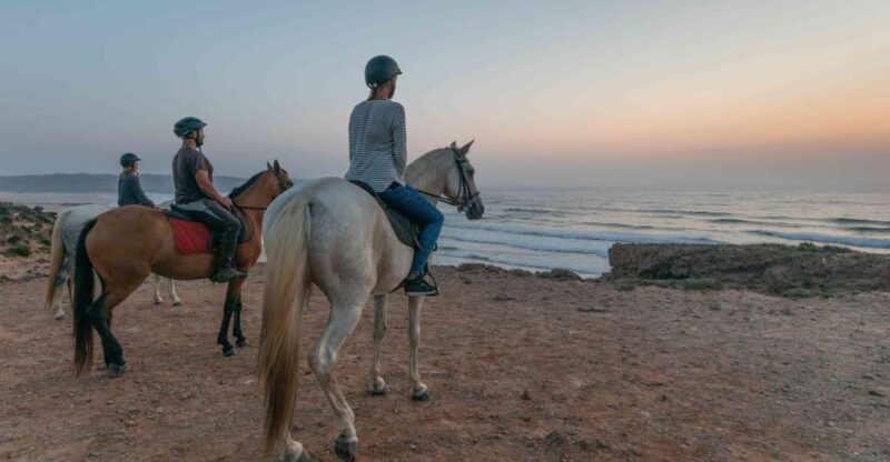 Algarve: Horse Riding Beach Tour at Sunset or Morning - Is This Tour Worth It?