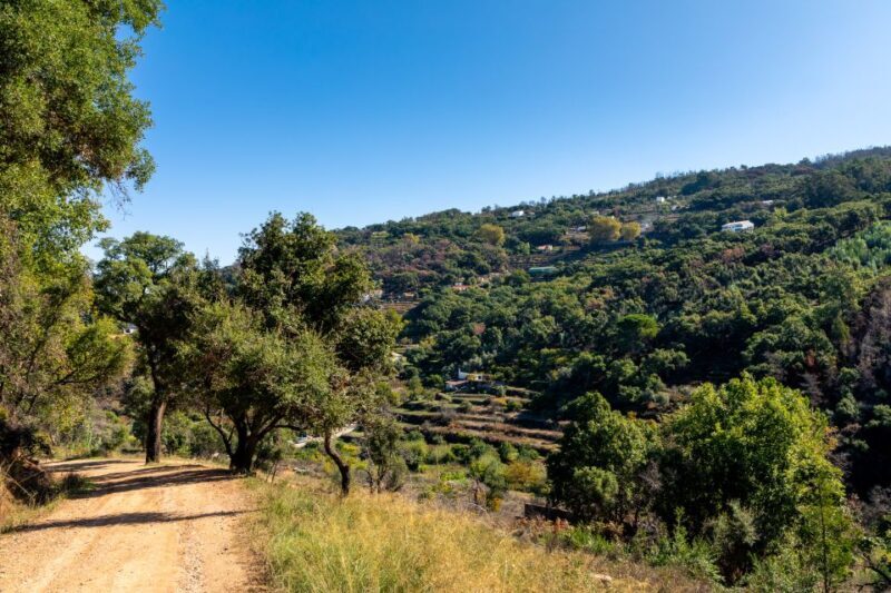 Algarve: Jeep Safari with Distillery Visit & Lunch - Final Thoughts: Is This Tour Right for You?