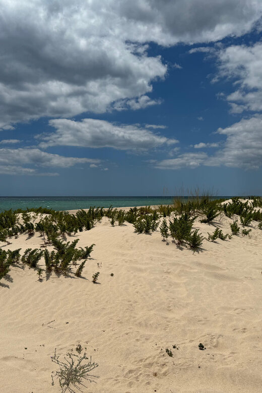 Algarve, Lisbon; V.I.P. Women's road trip with female guide - The Itinerary and Highlights