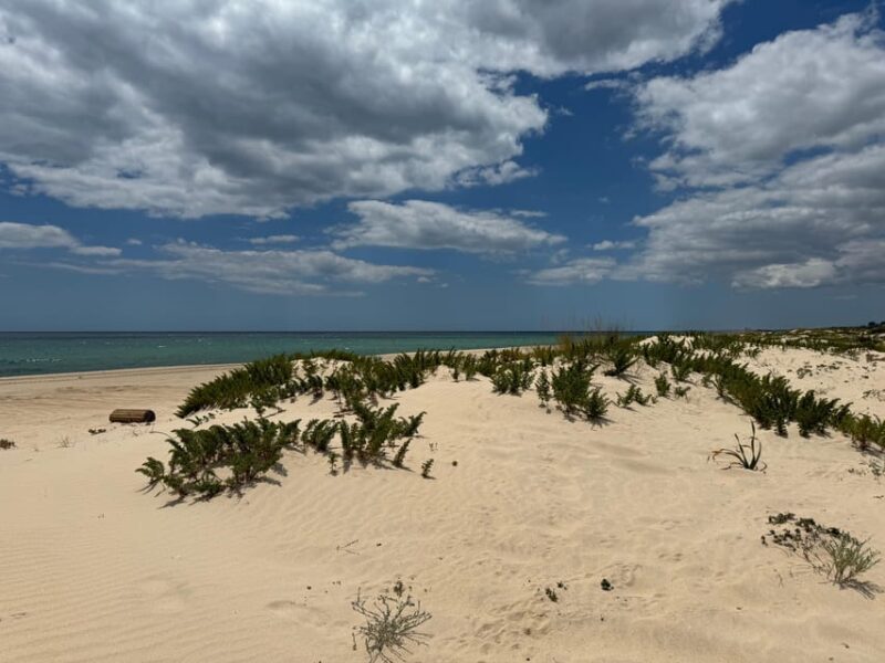 Algarve, Lisbon; V.I.P. Women's road trip with female guide - Analyzing the Value