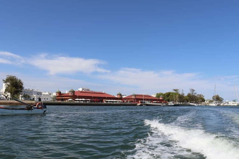 Algarve: Olive Oil, Market, and Ria Formosa Boat Tour - An Honest Breakdown of the Tour Experience