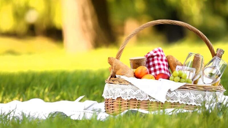 Algarve: Private Classic Car Scenic Escape & Picnic Delight - Key Points