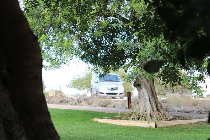 Algarve Private Tour - Key Points
