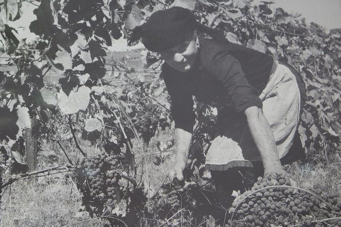 Algarve Romantic Vineyard Picnic in Carvoeiro - Who Will Love This Tour?