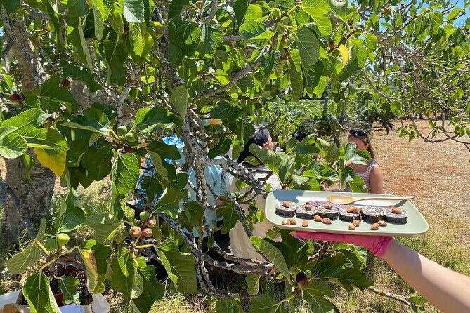 Algarve Romantic Vineyard Picnic in Carvoeiro - FAQs