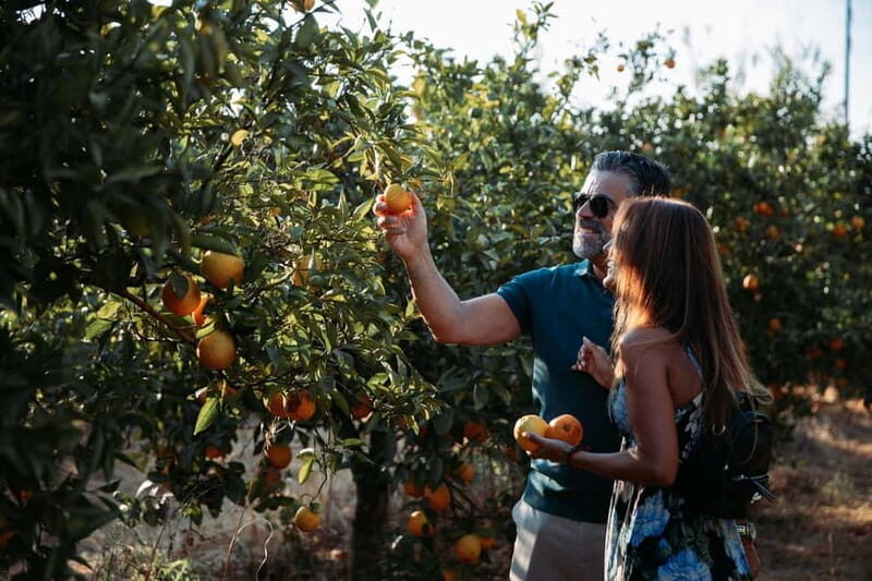 Algarve: Silves, Orange Grove & Monchique Mountains Tour - Exploring Silves and its Rich Heritage