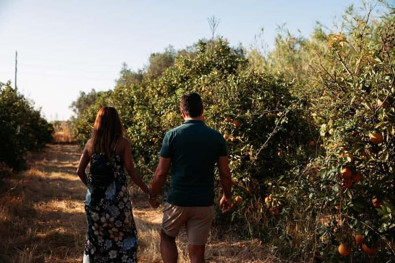 Algarve: Silves, Orange Grove & Monchique Mountains Tour - Final Thoughts: Is This Tour Right for You?