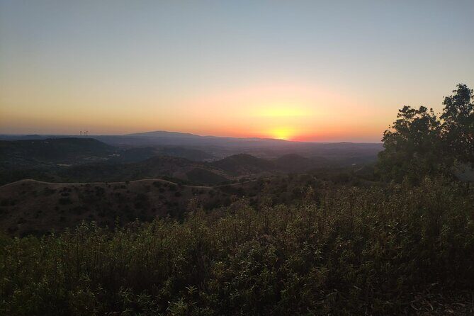 Algarve Sunset Safari Tour from Albufeira - The Sum Up