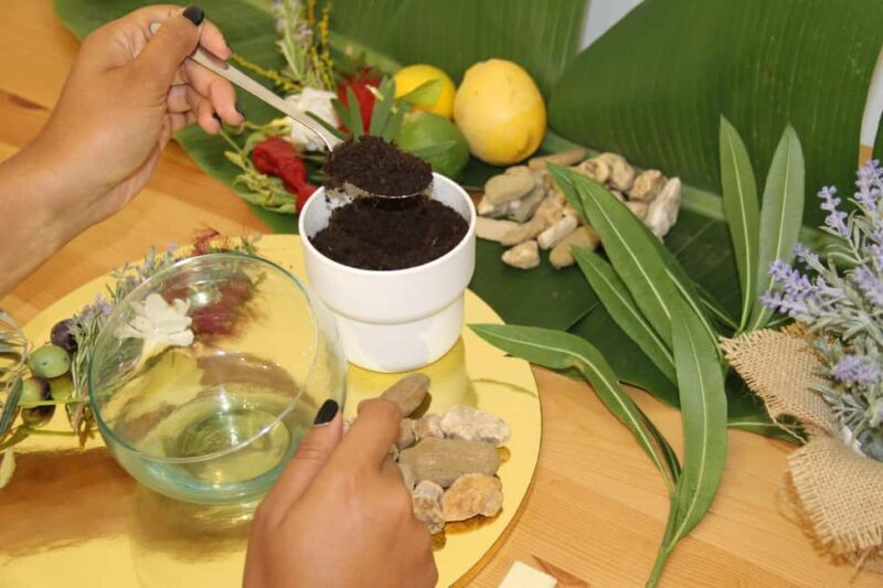 Algarve: Terrarium-Making Workshop with Snacks - Key Points