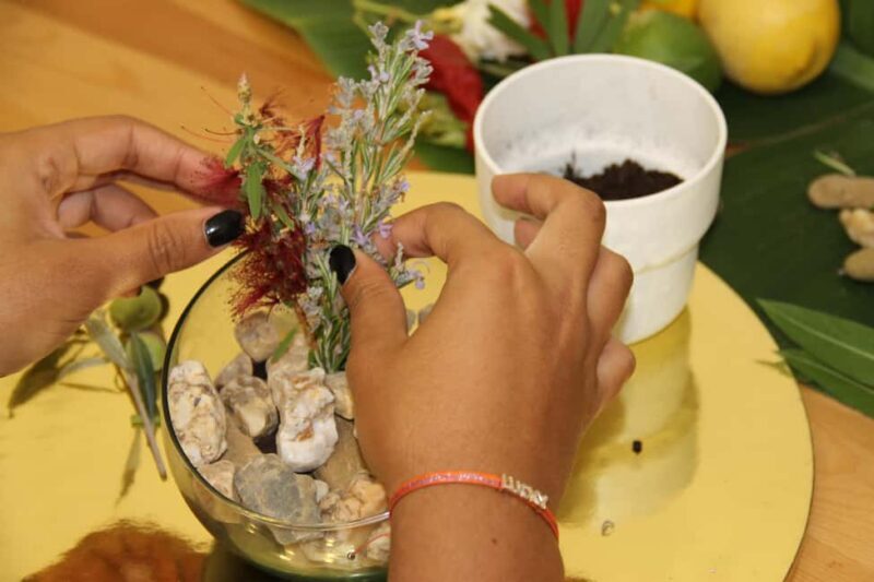 Algarve: Terrarium-Making Workshop with Snacks - Deep Dive into the Experience